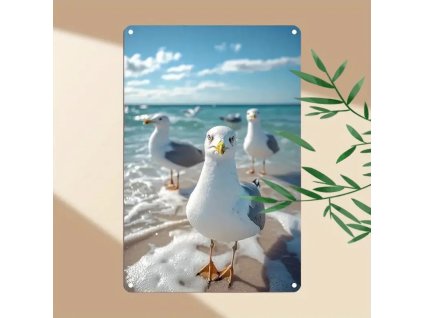 2D Plechová  cedule 30 x 20 cm  Život u moře