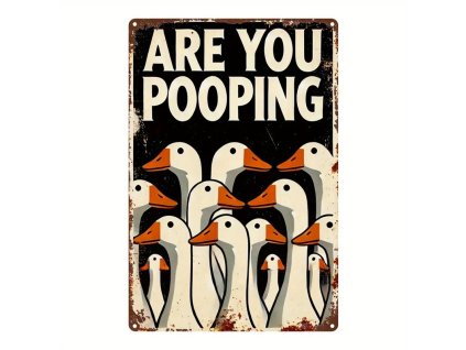 2D plechová cedule Husí potřeby 20 x 30 cm