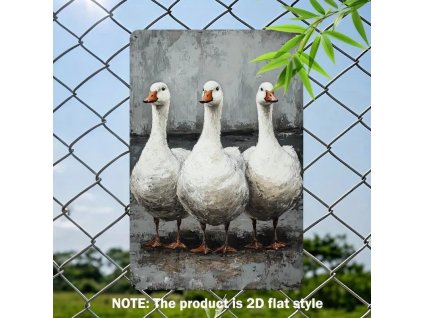 2D plechová cedule Husí trio  20 x 30 cm