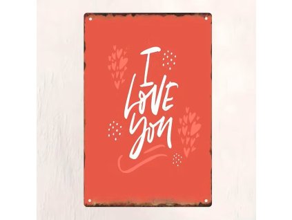 2D plechová cedule Miluji Tě 20 x 30 cm