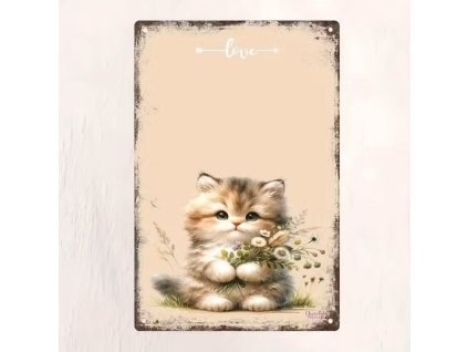 2D Plechová cedule Kotě   30 x 20 cm