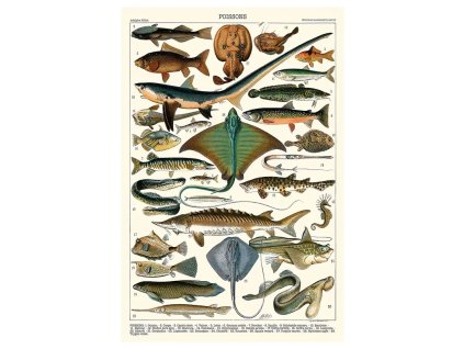 dcf3d26d 08b9 43d2 af0b 6c1a02f3838c