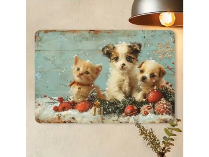 2D Plechová cedule Kámoši 30 x 20 cm