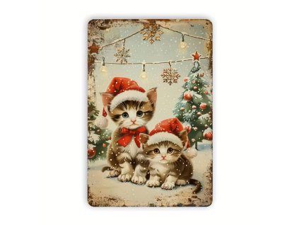 2D Plechová cedule Vánoční koťata   30 x 20 cm