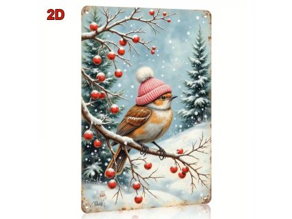 2D Plechová cedule Ptáček   30 x 20 cm