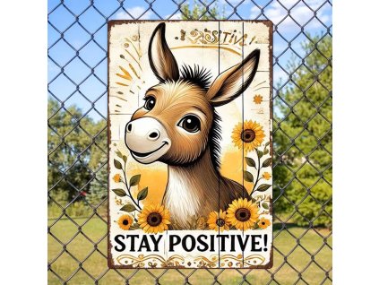 2D plechová cedule Zůstaň v poho 20 x 30 cm