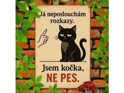 2D Plechová cedule Nejsem pes!  30x20 cm