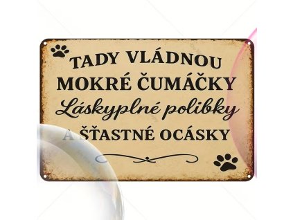 2D plechová cedule Mokrý čumák   30 x 20 cm