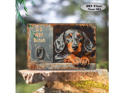 2D Plechová cedule Jezevčíček   30 x 20 cm