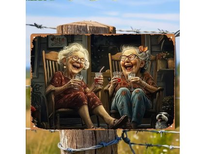 2D plechová cedule Dvě šťastné dámy   40 x 10 cm