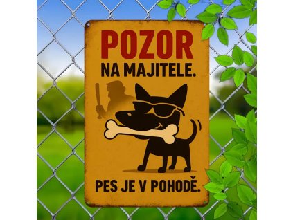 Kovová cedule Hodný pes 30 x 20 cm POŠKOZENO - SLEVA