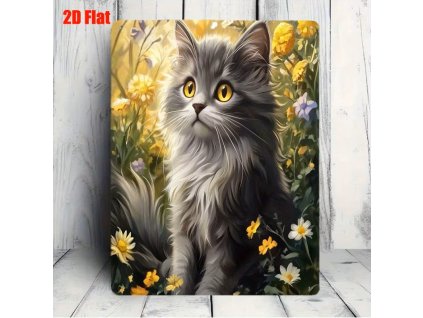 2D plechová cedule Koťátko 20 x 30 cm