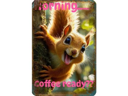 2D plechová cedule Dobré ráno s veverkou 20 x 30 cm