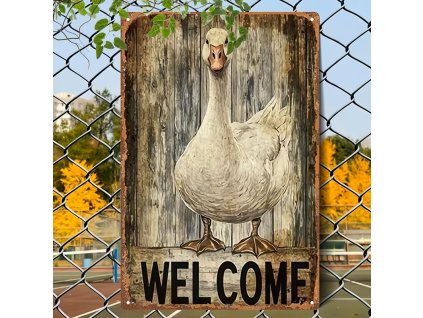 2D Plechová cedule Husa vítací 30 x 20 cm