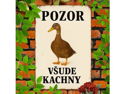 2D plechová cedule Kam se podíváš tam jsou 20 x 30 cm