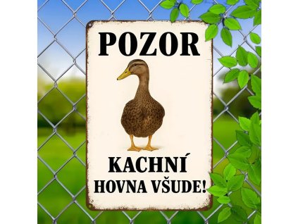 Kovová cedule Pozor na kachní enóna 30 x 20 cm POŠKOZENO
