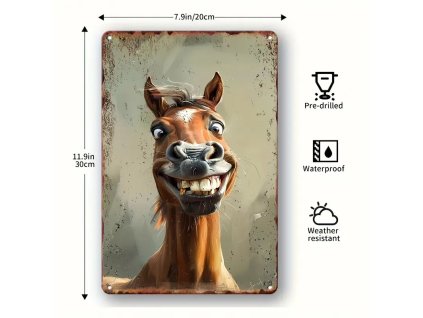 Kovová cedule Koňské nadšení 30 x 20 cm POŠKOZENO