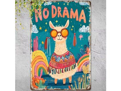 2D kovová cedule Žádné drama 30 x 20 cm