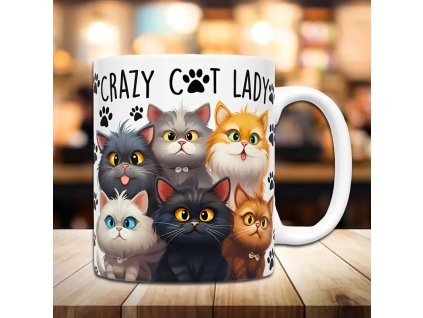 KERAMICKÝ HRNEK  CRAZY CAT 325 ML