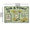 Kovová cedule Gin and tonic 30 x 20 cm