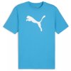 Pánské Puma teamrise logo jersey cotton speed blue puma white - ÚPLNÝ DOPRODEJ