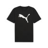 Pánské Puma teamrise logo jersey cotton speed black puma white - ÚPLNÝ DOPRODEJ