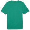 Pánské PUMA teamrise logo jersey cotton sport green puma white - ÚPLNÝ DOPRODEJ
