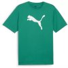 Pánské PUMA teamrise logo jersey cotton sport green puma white - ÚPLNÝ DOPRODEJ