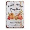 Nástěnná kovová cedule Dýně sklizeň 30 x 20 cm