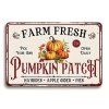 Nástěnná kovová cedule Dýňová farma 30 x 20 cm