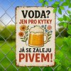 2D Plechová cedule  Pitný režim. 30 x 20 cm