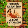 2D Plechová cedule Ideální manželka   30 x 20 cm