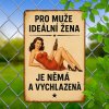 2D Plechová cedule Ideální manželka   30 x 20 cm