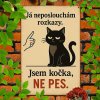 2D Plechová cedule Nejsem pes!  30x20 cm