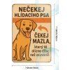 2D Plechová cedule Pes vítací   30 x 20 cm