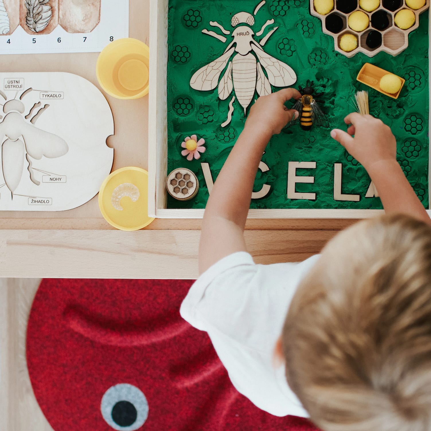 Proč je Smyslík fajn pro smysly?