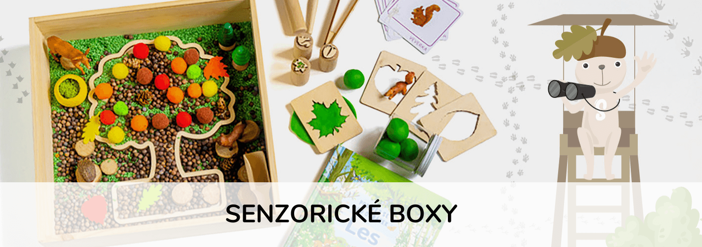 Senzorický box
