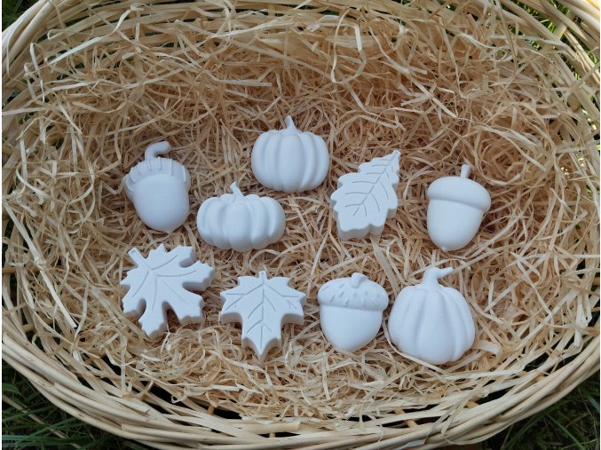 Sada podzimní plody