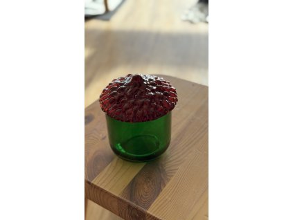 Pryskyřice velký žalud - nádoba s víčkem