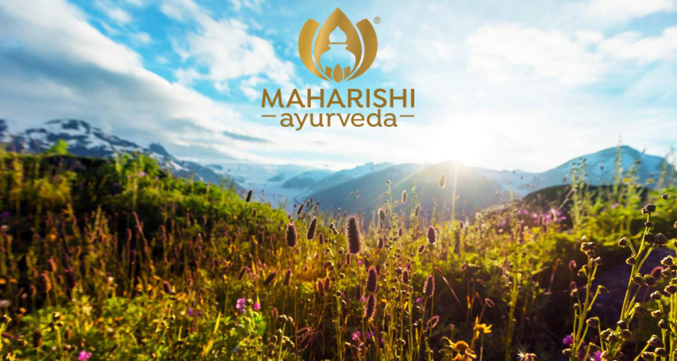 Maharishi-Ayurveda-web-ok