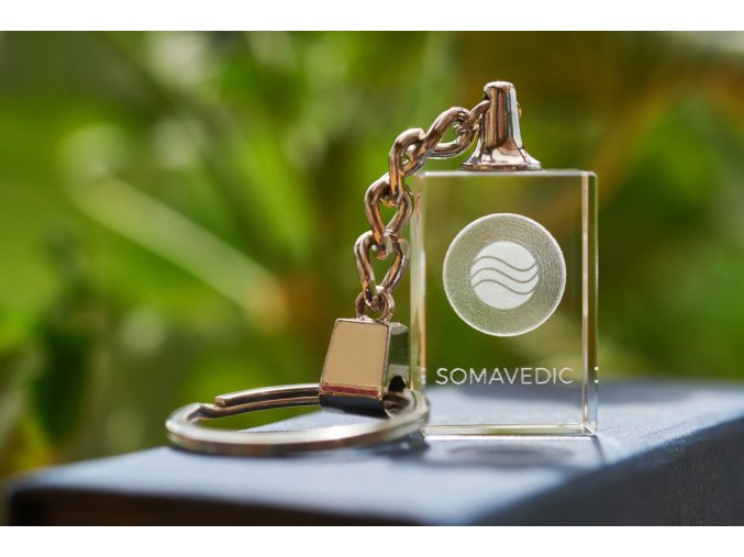 Somavedic Portable1