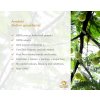 amalaki qualitaet en