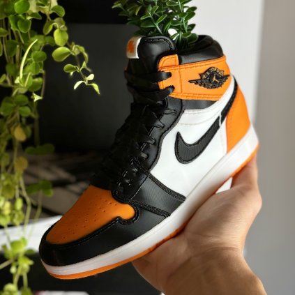 AJ1 “Shattered Backboard” 3D printed sneaker planter with artificial plant