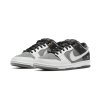 Nike SB Dunk Low VX1000 Camcorder 2