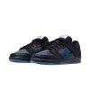 Nike SB Dunk Low Pro Bluetile Skateboards 2