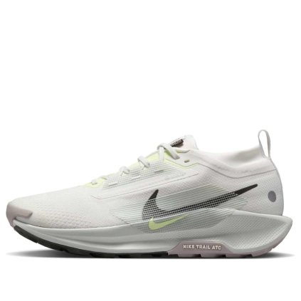Nike PEGASUS TRAIL 5 GTX / Summit White Light Silver College Grey Sequoia - FQ0908-102 (Velikost Eur 44,5|US 10,5|28,5cm)