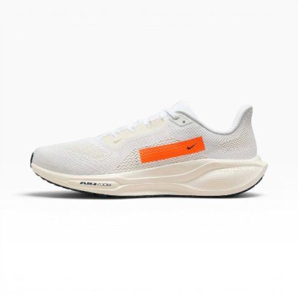  (Velikost Eur 49,5|US 15|33cm)