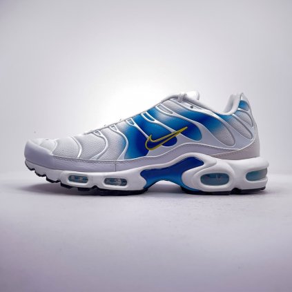 Nike AIR MAX PLUS - DX8962-100