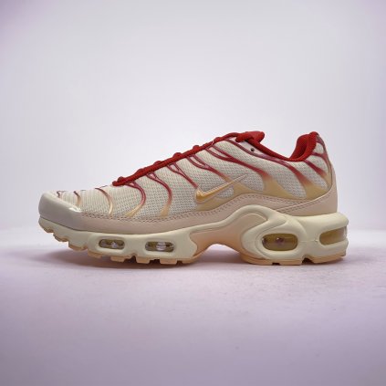 Nike AIR MAX PLUS - FQ2765-100