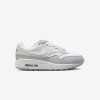 Nike AIR MAX 1 '87 LX NBHD / Light Smoke Grey - FN0564-001 (Velikost Eur 42,5|US 10,5|27,5cm)